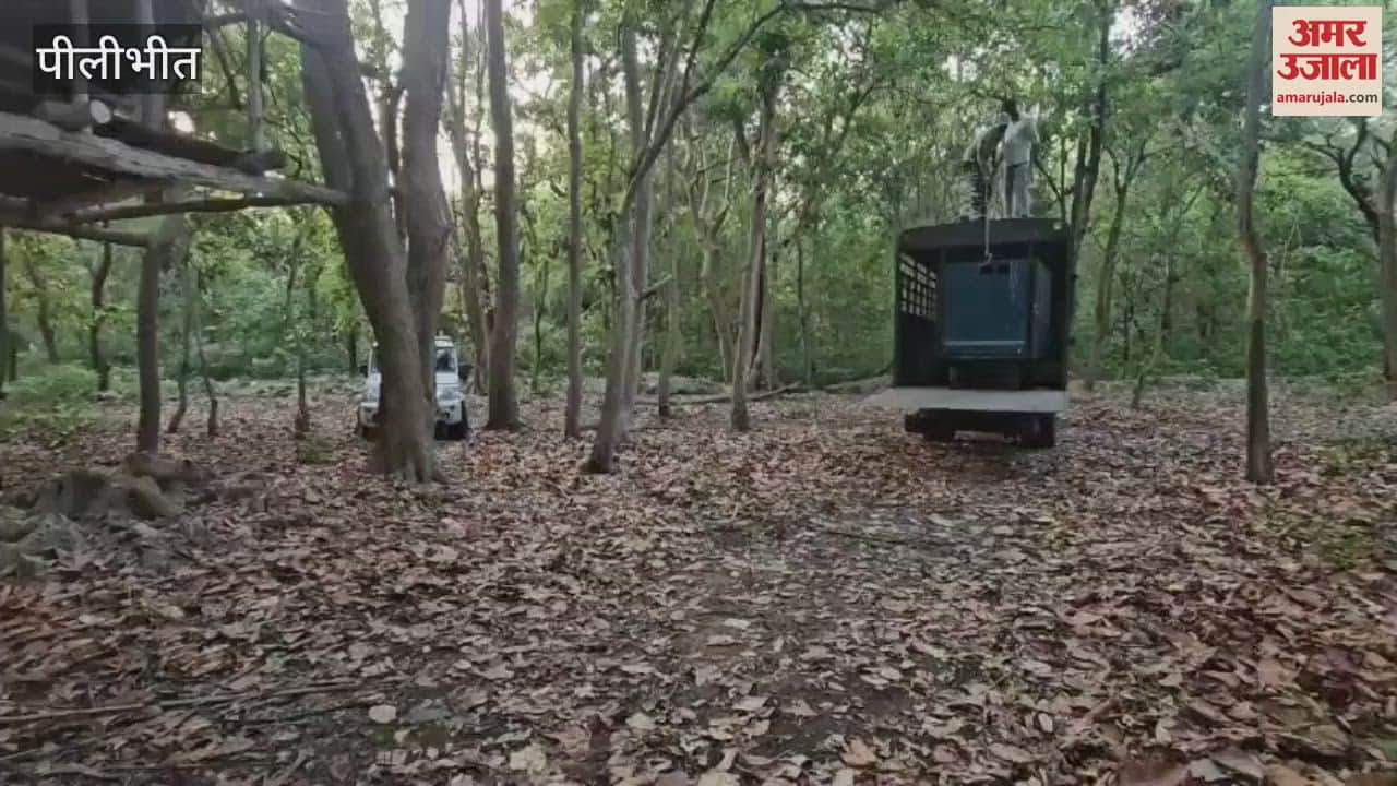 Mahofa forest is the new home of the man-eating tigress in Pilibhit