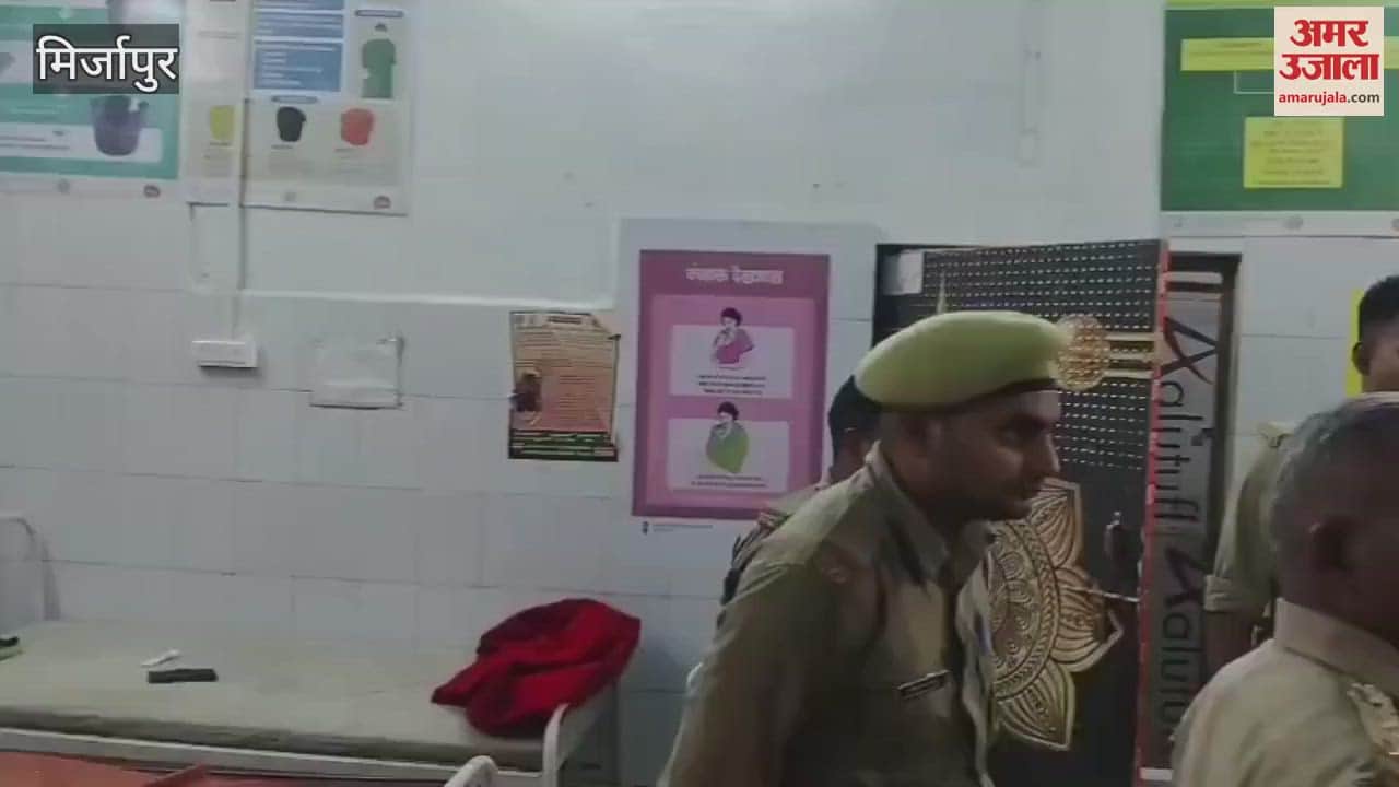 Trainee forest guards attacked by bees in Mirzapur