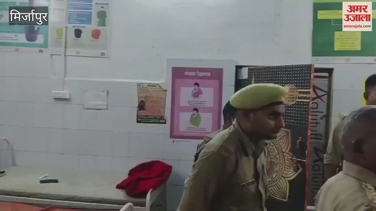 Trainee forest guards attacked by bees in Mirzapur