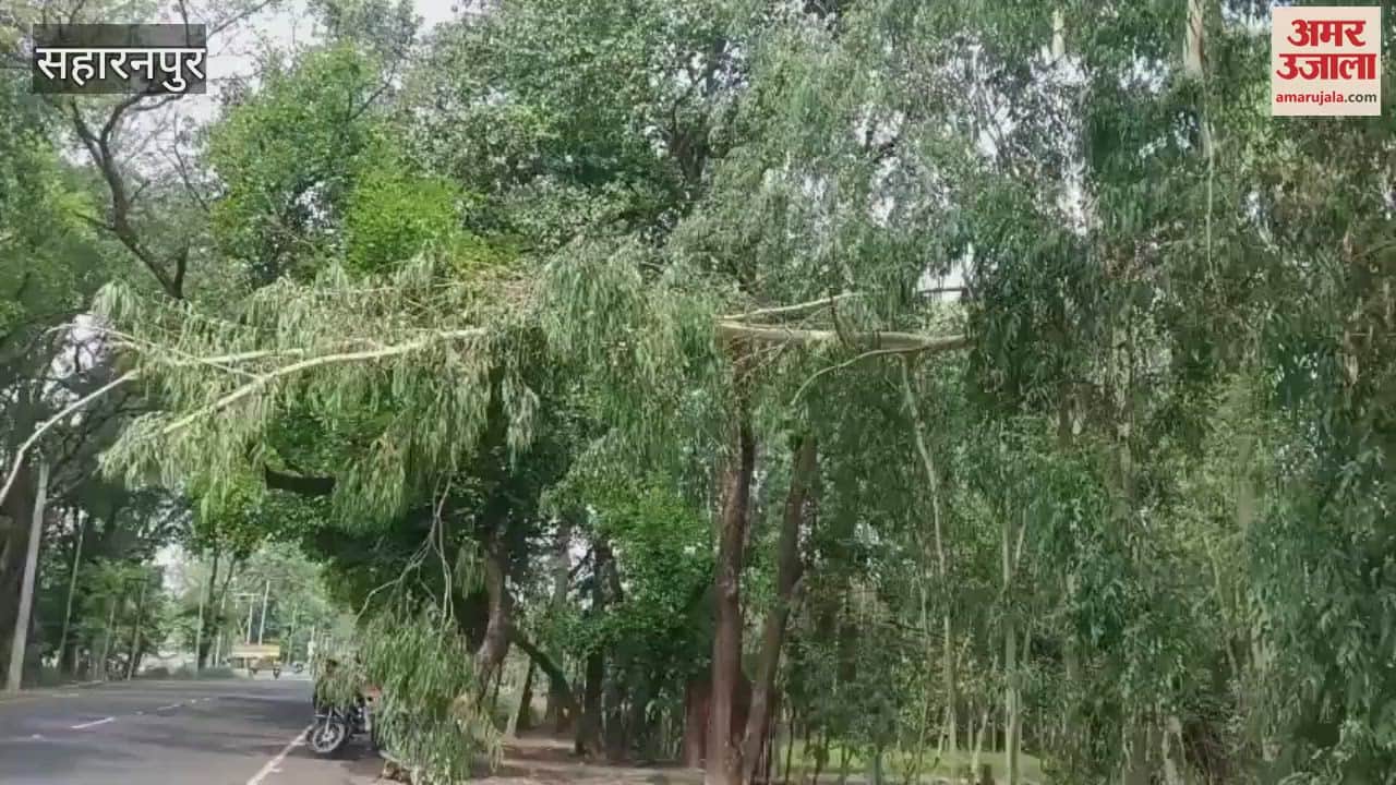 Saharanpur: Storm disrupted electricity supply, bike rider injured due to falling tree