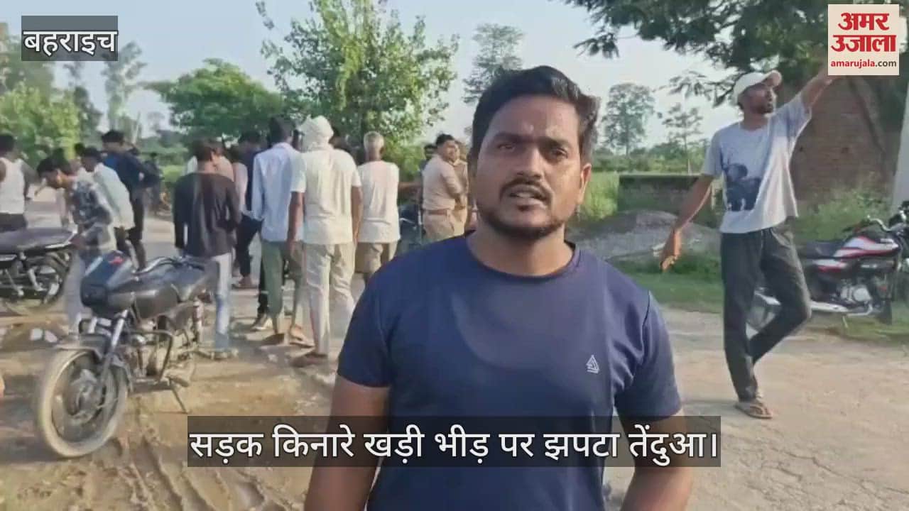 Bahraich: बिछिया-सुजौली मुख्य मार्ग पर सड़क किनारे पुलिया में छिपा तेंदुआ, लोगों पर झपटा
