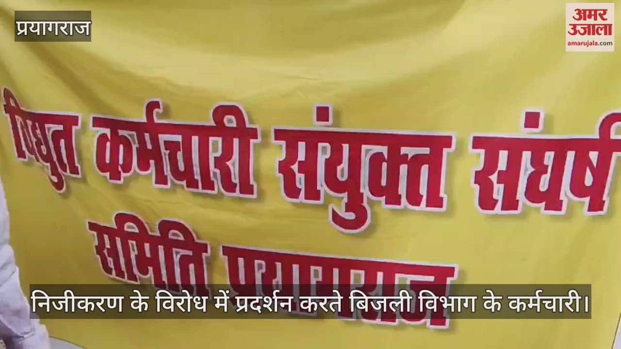 Employees of the electricity department protested against privatization and raised slogans