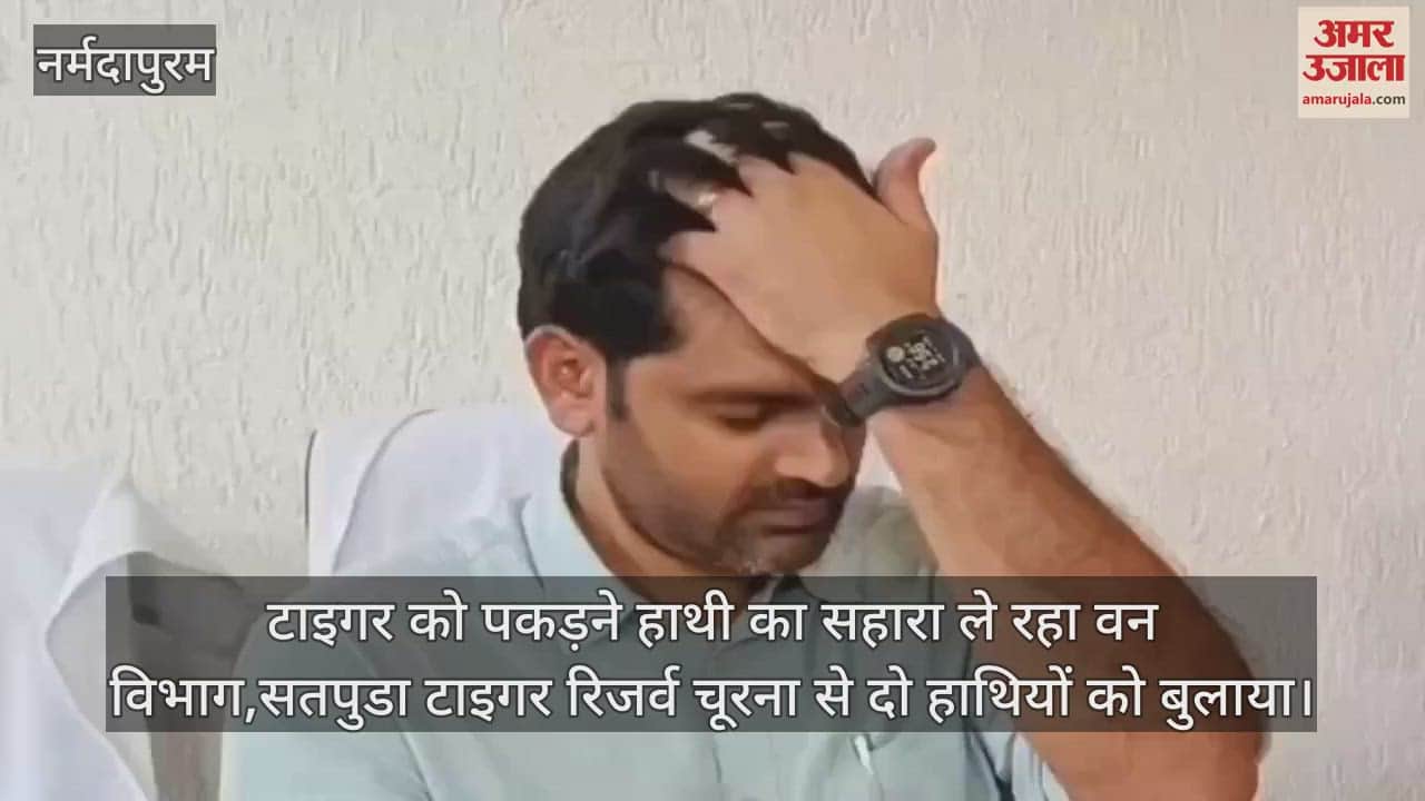 Satpura Tiger Reserve : forest department is taking help of elephants to catch tiger