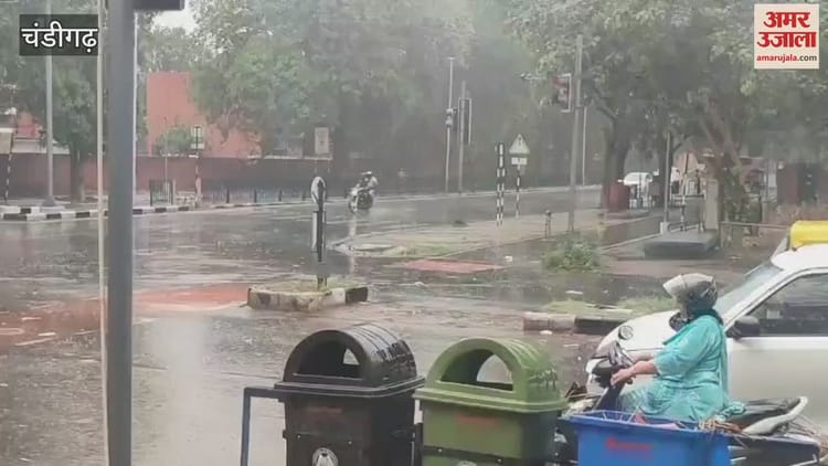 Weather Changed In Chandigarh, Heavy Rain In The Morning – Amar Ujala Hindi News Live
