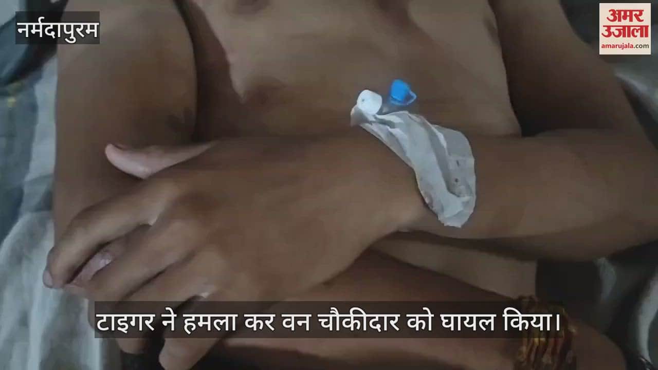 Tiger attacks and injures forest guard