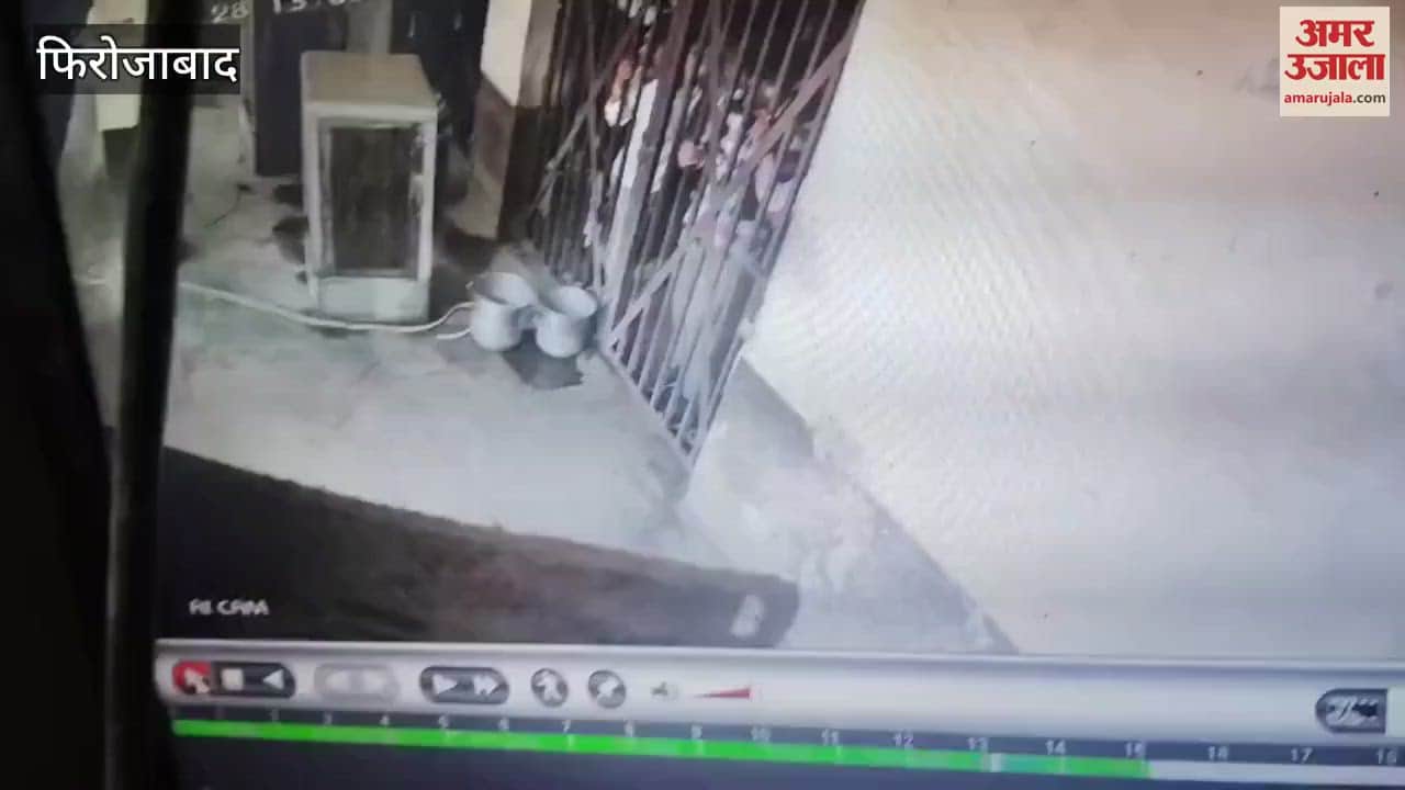 prisoner dodged the police