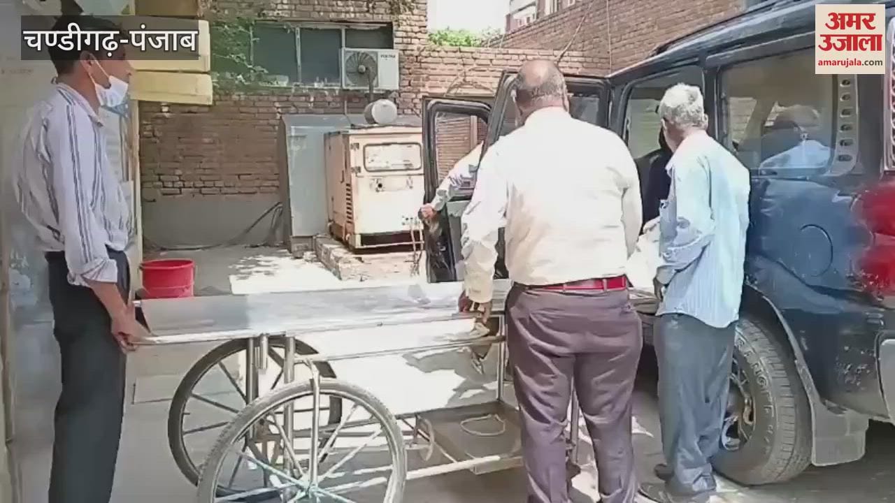 old man murdered in Moga