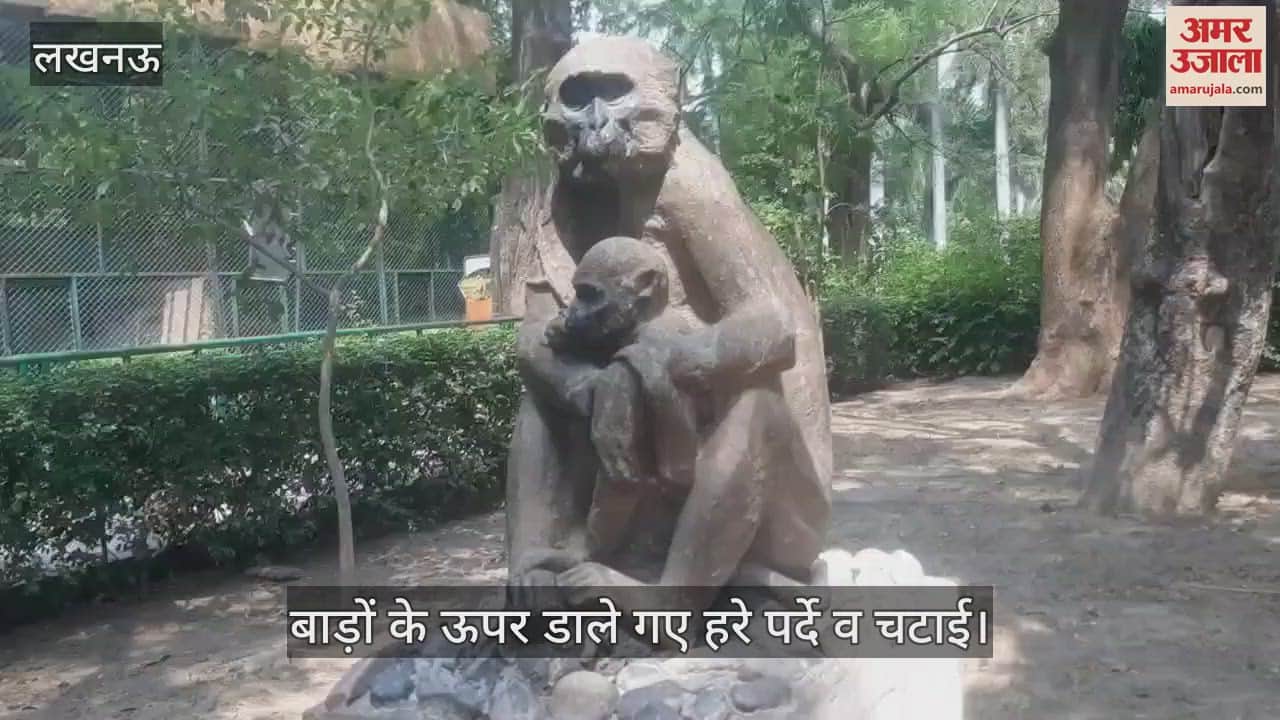 Lucknow: चिड़िया घर में तपिश व उमस से परेशान जानवर, बाड़ों के ऊपर डाले गए हरे पर्दे व चटाई