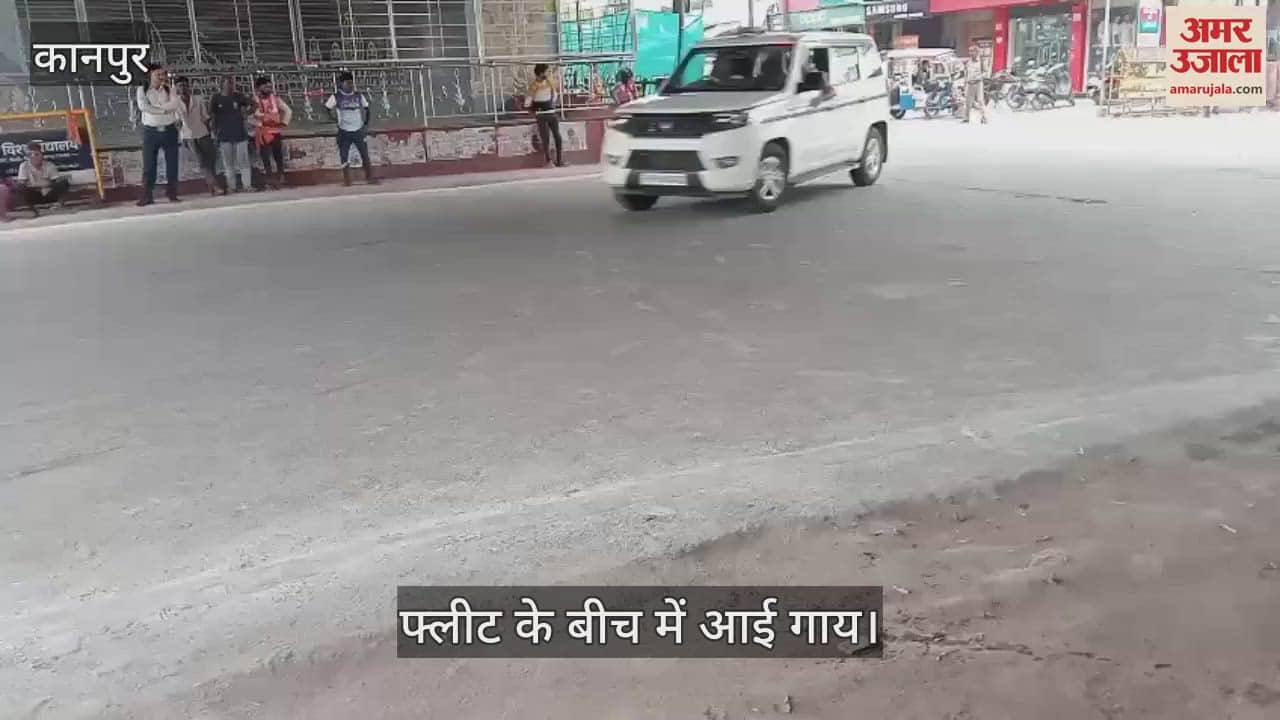 पीएम की फ्लीट के बीच में आई गाय, कर्मचारियों ने ड़डे से खदेड़ कर भगाया