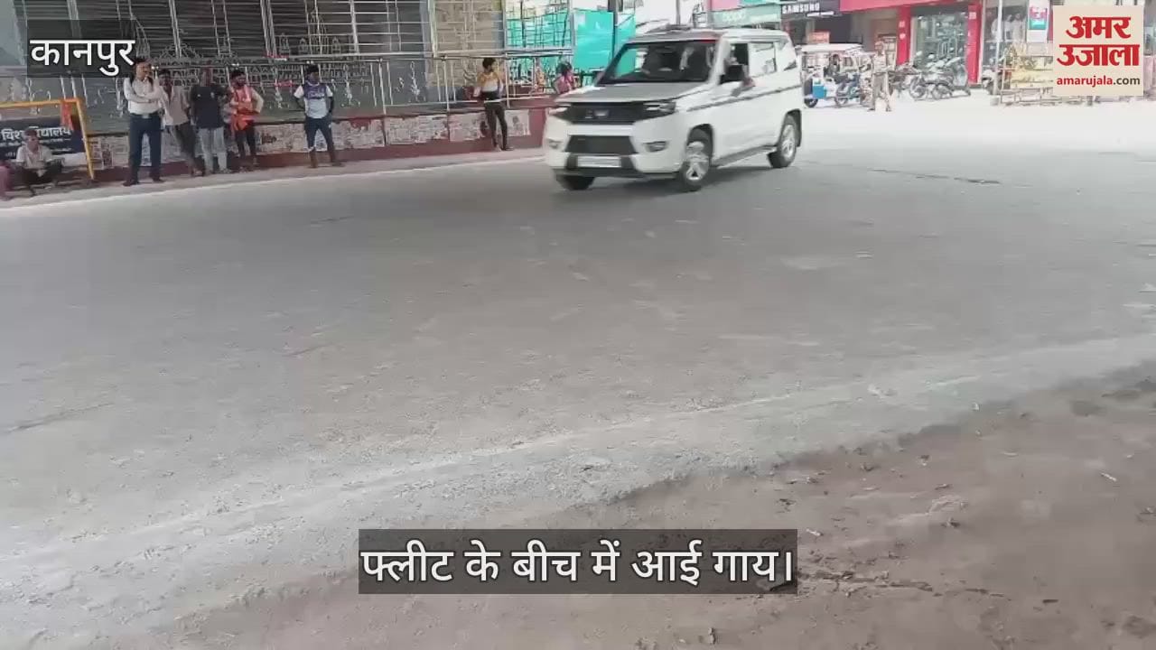पीएम की फ्लीट के बीच में आई गाय, कर्मचारियों ने ड़डे से खदेड़ कर भगाया