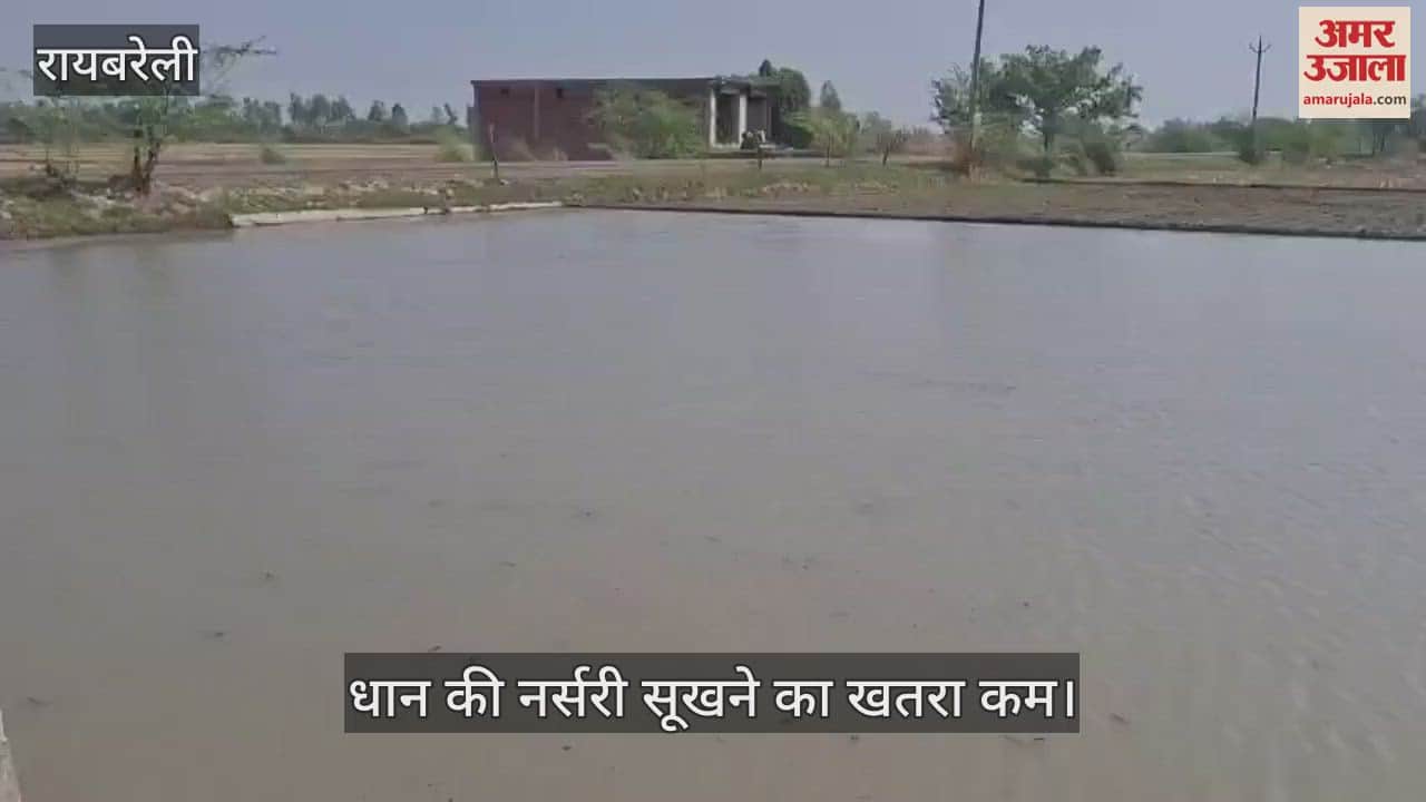 VIDEO: Raebareli: कम तपेगा नौतपा, धान की नर्सरी डालने में जुटे किसान, उमस अधिक होने से गर्म हवा का असर कम