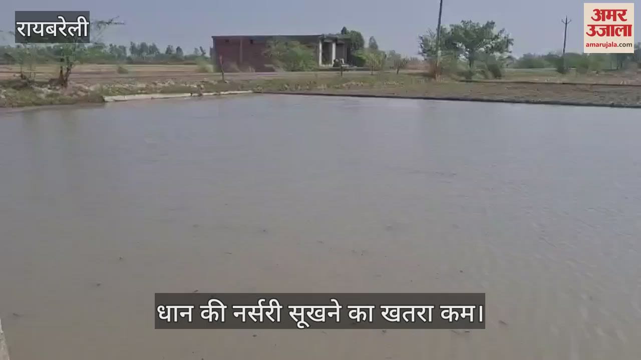 VIDEO: Raebareli: कम तपेगा नौतपा, धान की नर्सरी डालने में जुटे किसान, उमस अधिक होने से गर्म हवा का असर कम