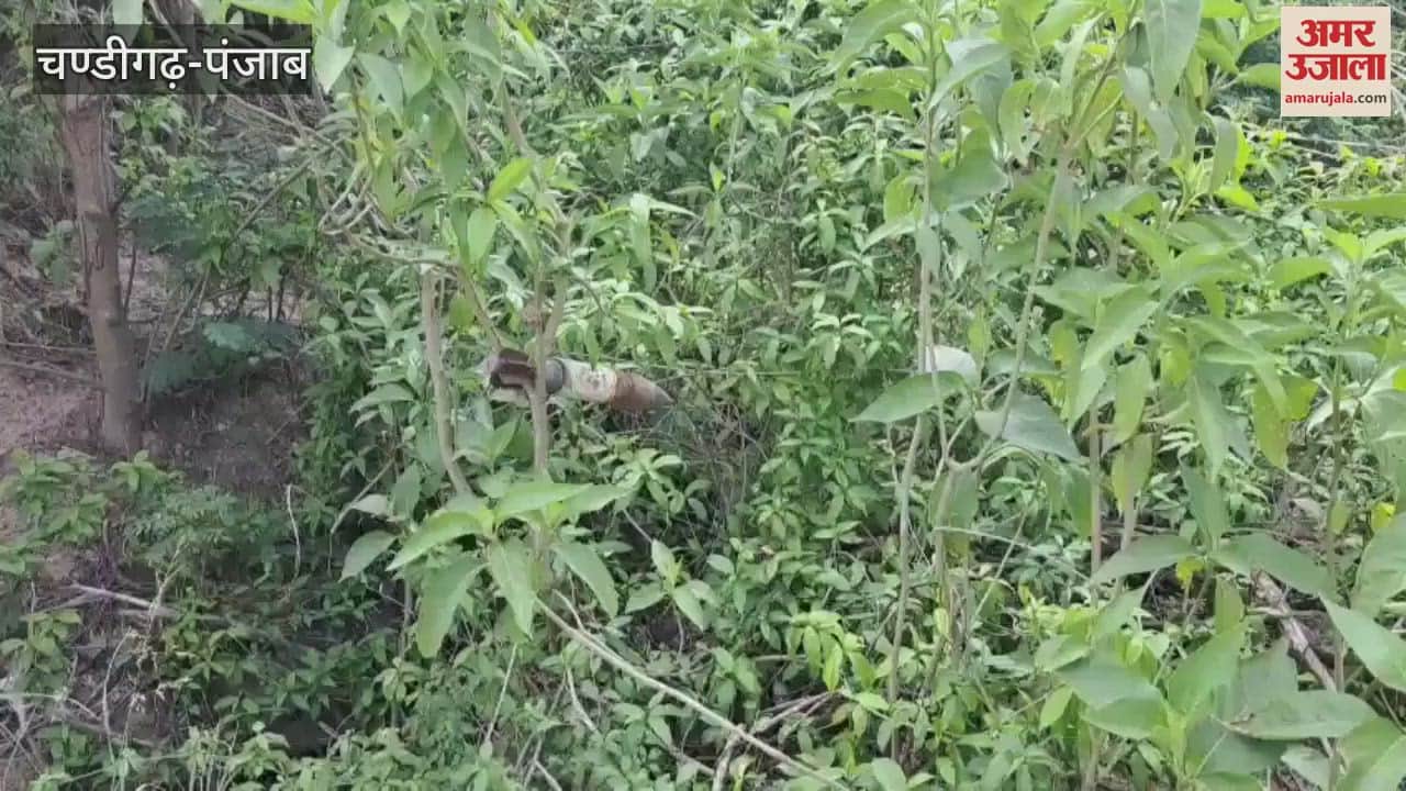 Mortar Bomb Found In Pathankot Army Disposed It