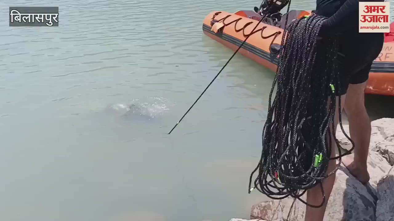 Bilaspur As soon as the siren sounded in the koldam the security personnel started running a mock drill was organized