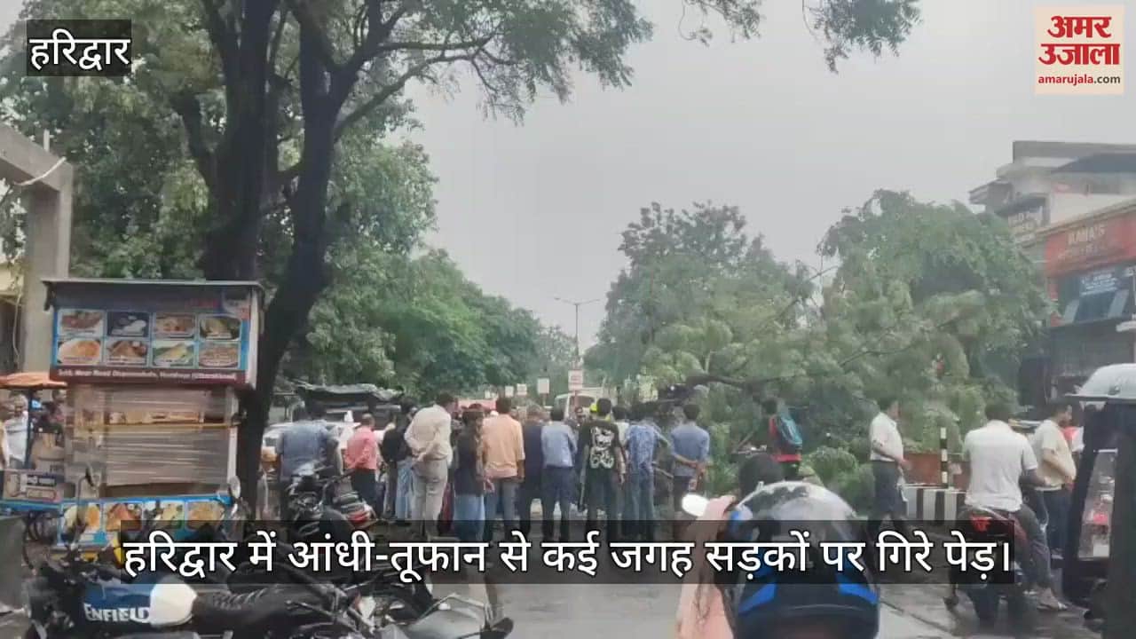 Due to storm in Haridwar, trees fell on the roads at many places, roads got blocked