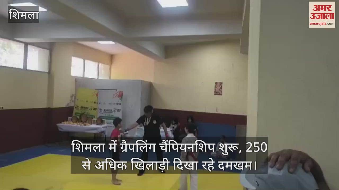 Grappling championship starts in Shimla, more than 250 players are showing their strength