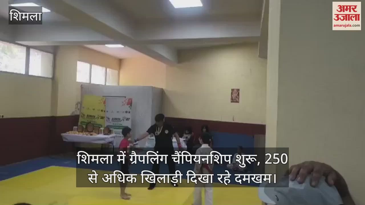 Grappling championship starts in Shimla, more than 250 players are showing their strength