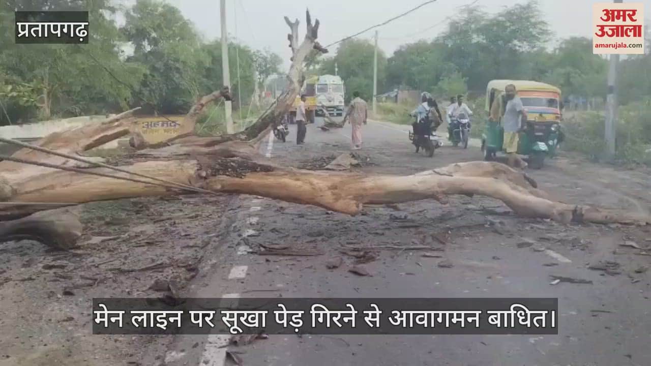 मेन लाइन पर पेड़ गिरने से 14 घंटे बाद भी विद्युत आपूर्ति नहीं हुई बहाल, गर्मी में मचा हाहाकार