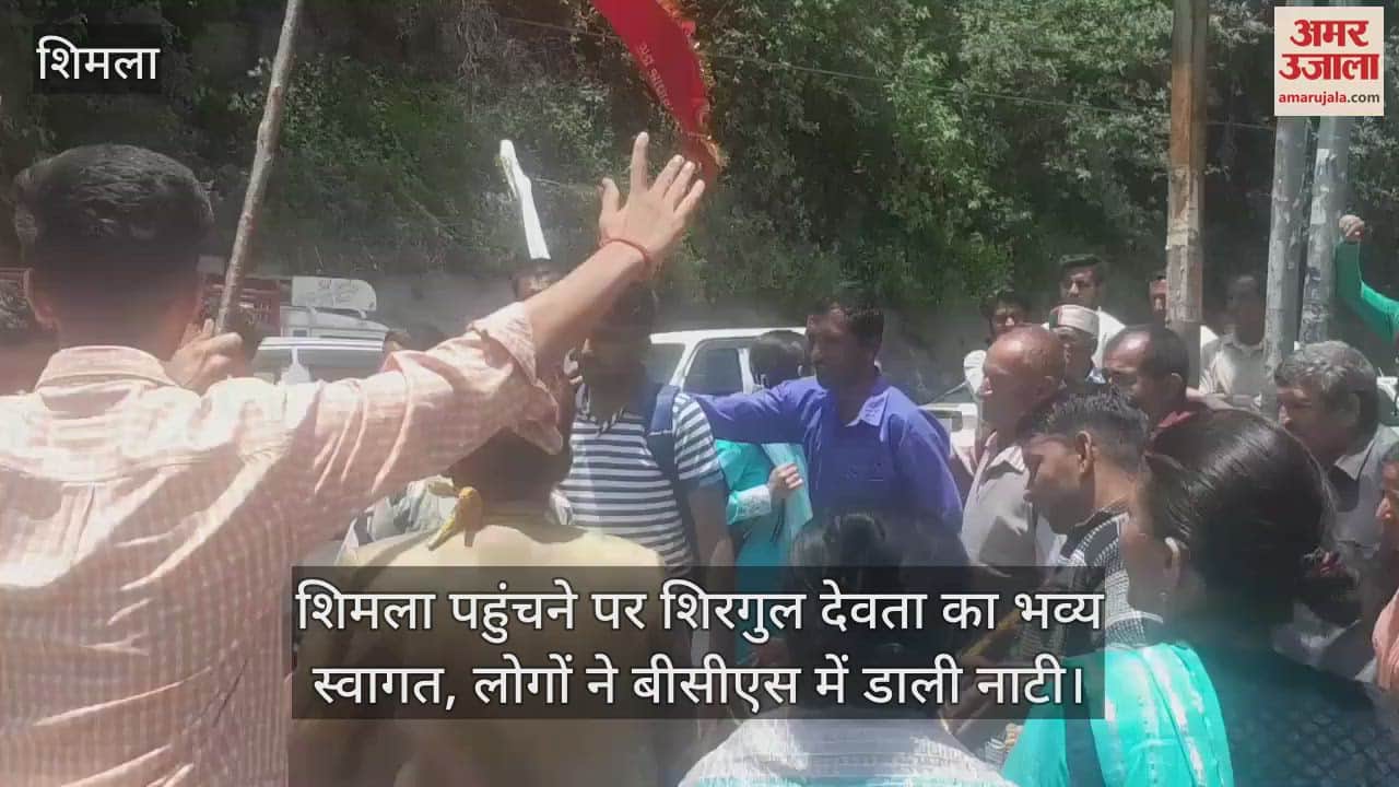 Shirgul Devta was given a grand welcome on reaching Shimla, people danced in BCS