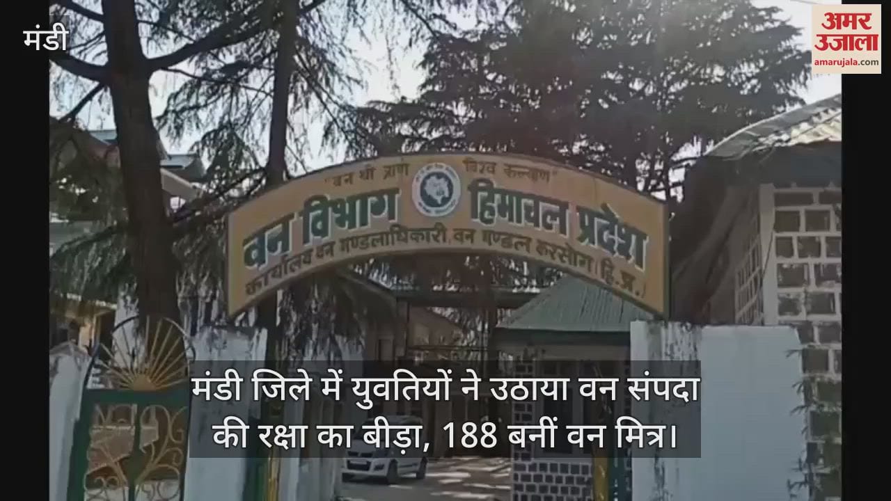 Mandi district, young women took the initiative to protect forest wealth, 188 became forest friends