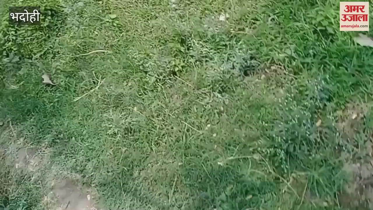 young man died after being hit by electric current see VIDEO