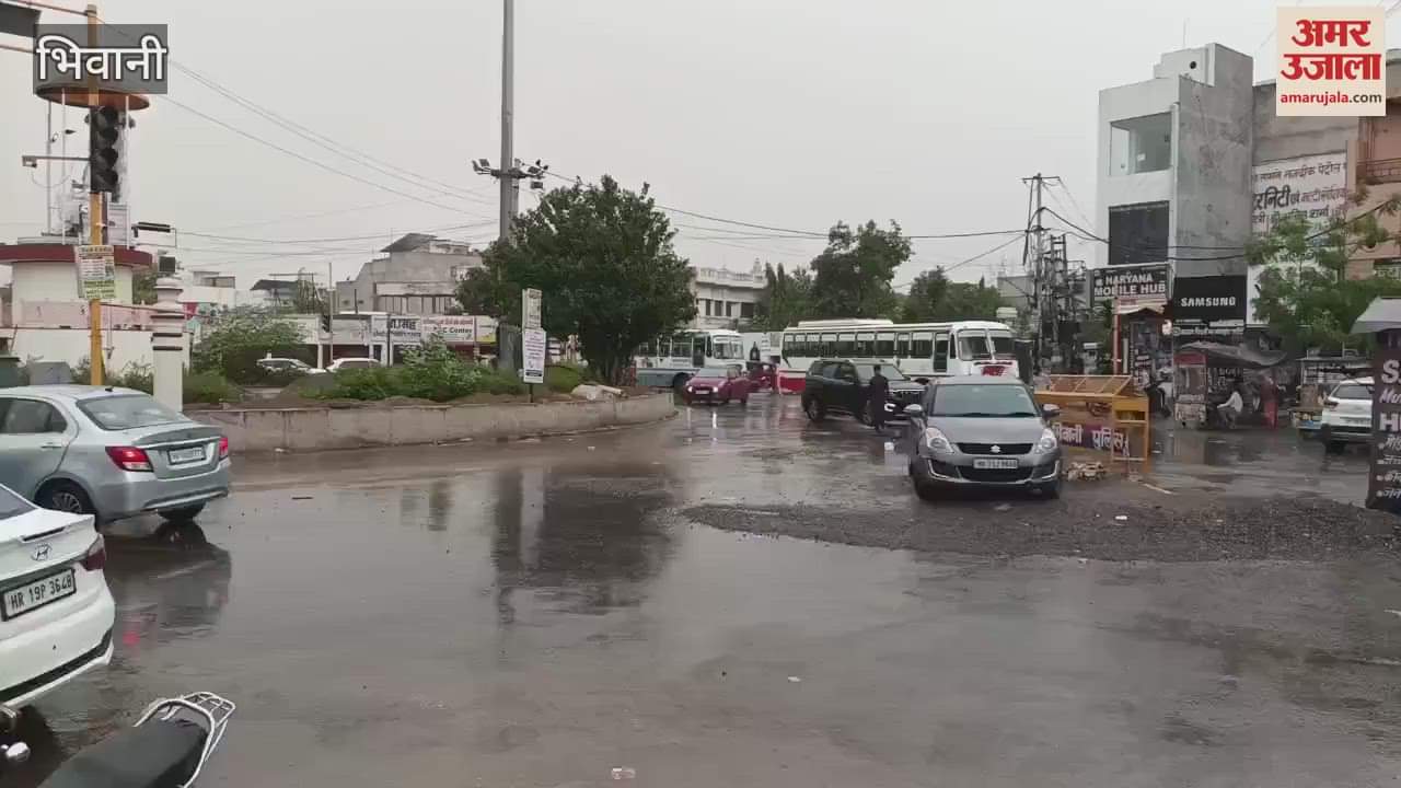 weather became pleasant due to rain in Bhiwani for the second consecutive day