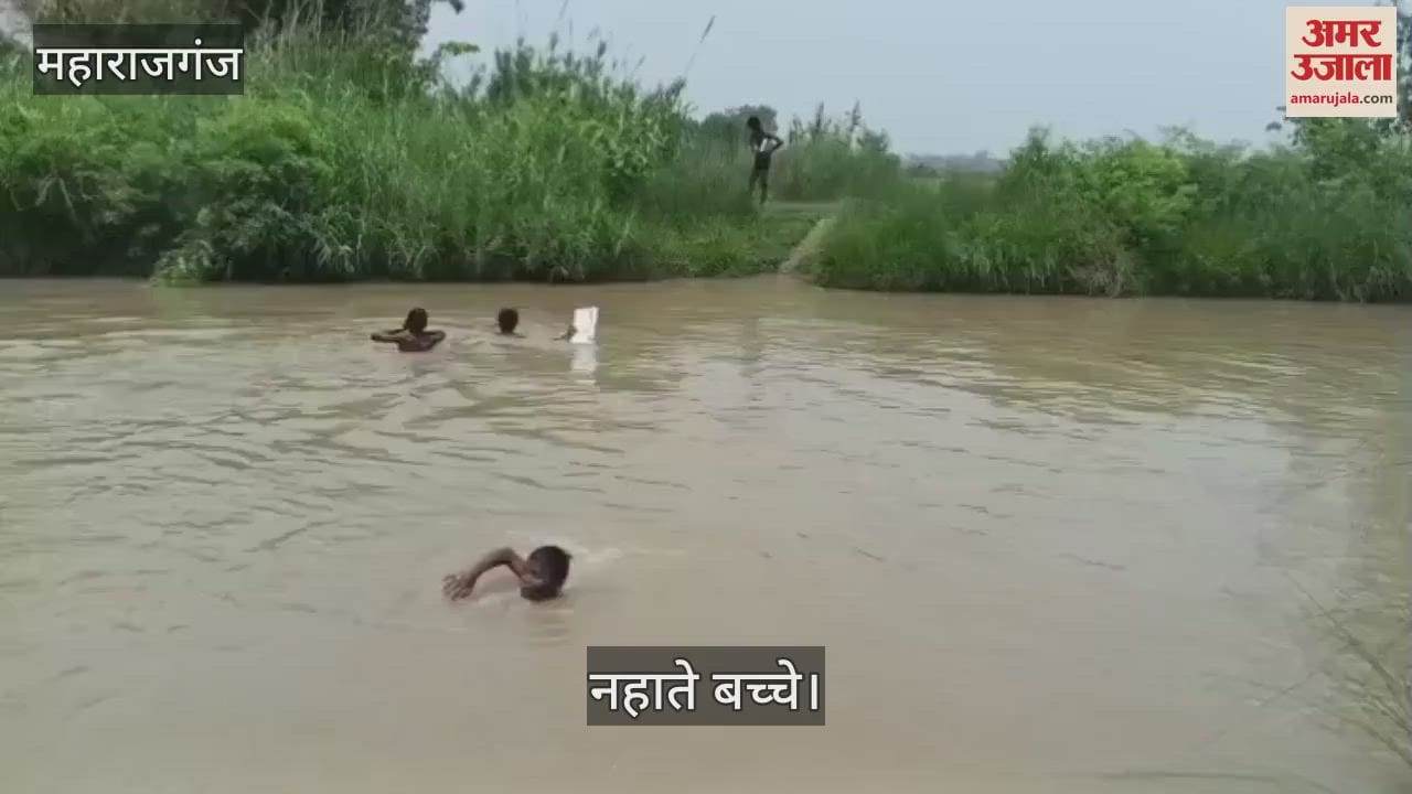 A group of children took a dip in the canal, got relief from the heat