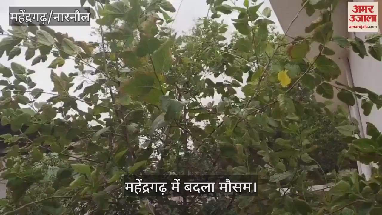 Weather change in Mahendragarh