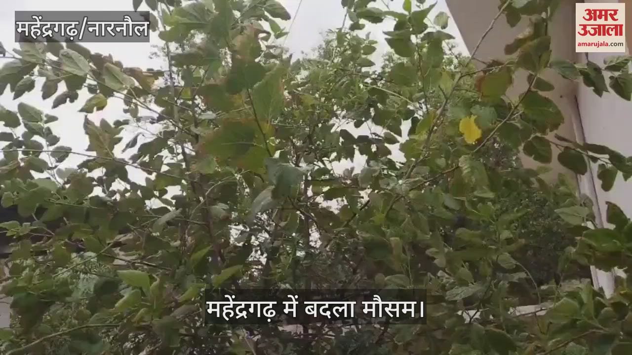Weather change in Mahendragarh