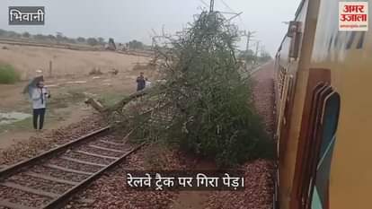 Tree fell on railway track