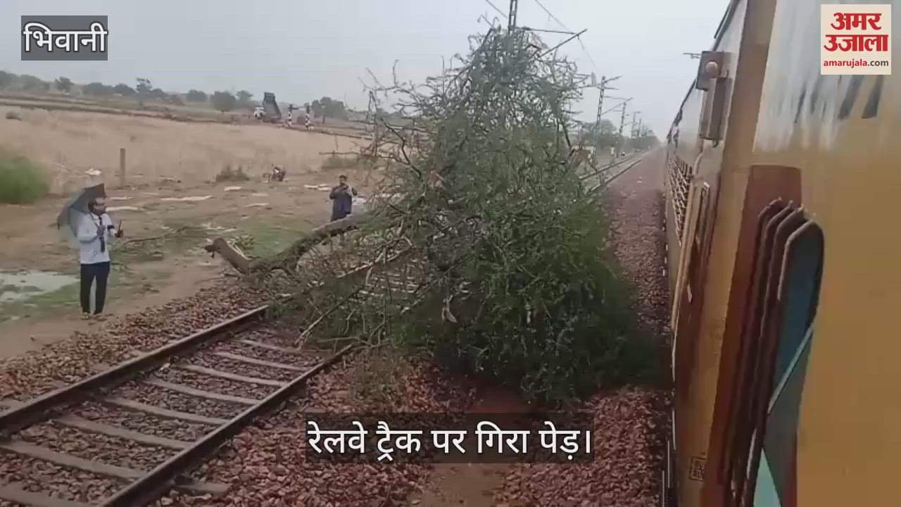 Tree fell on railway track