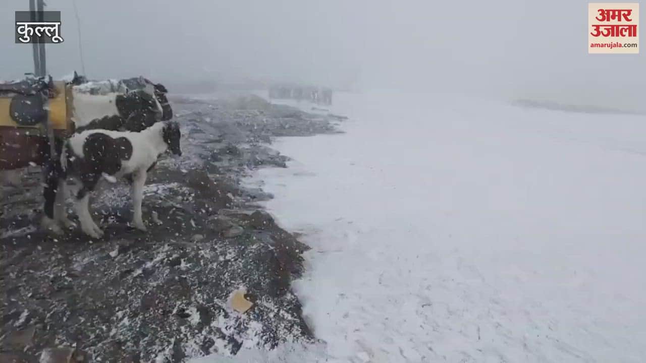 Kullu Snowfall on high hills including Great Himalayan National Park of Rohtang Pass