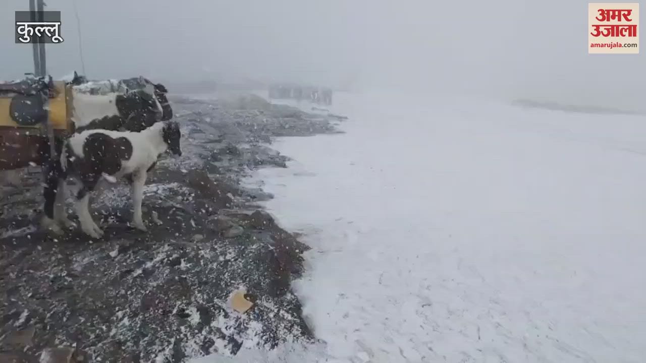 Kullu Snowfall on high hills including Great Himalayan National Park of Rohtang Pass