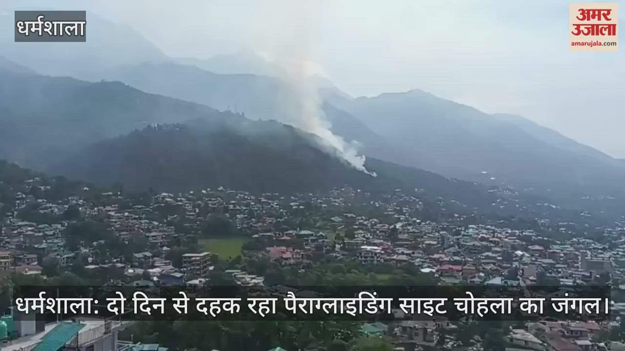 Dharamshala: The forest of paragliding site Chohla is still burning even after 24 hours