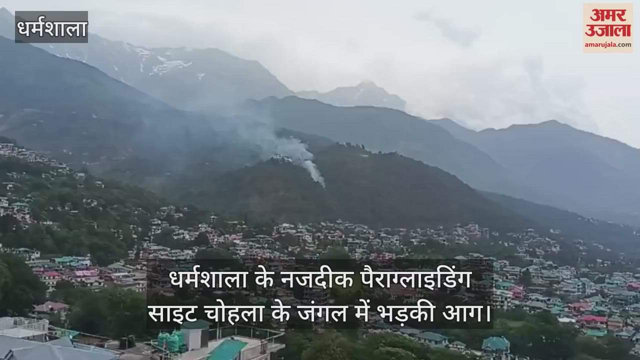 Fire broke out in the forest of Chohla, a paragliding site near Dharamsala