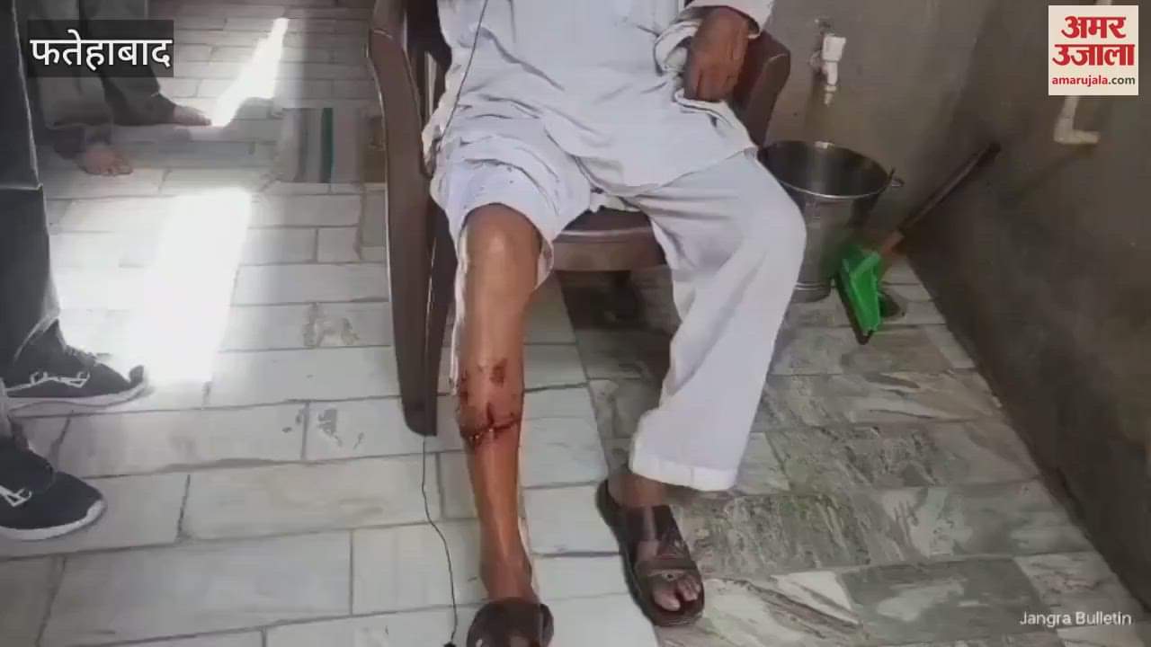 In Tohana, Fatehabad, a pack of dogs attacked an old man, he tweeted to the CM and demanded a solution