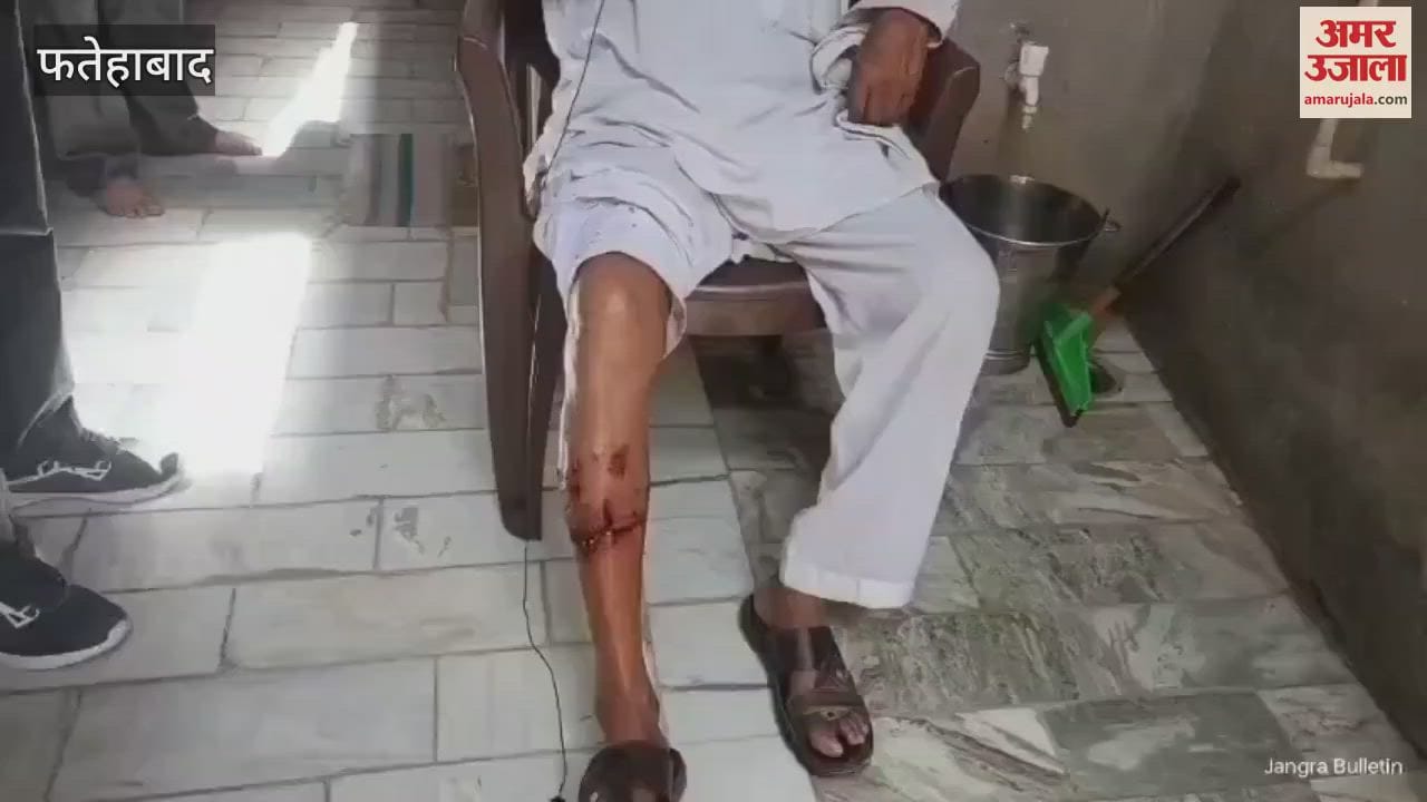 In Tohana, Fatehabad, a pack of dogs attacked an old man, he tweeted to the CM and demanded a solution