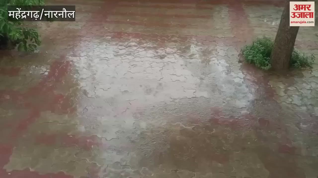 It was sunny in the morning in Narnaul, it rained with strong winds in the afternoon