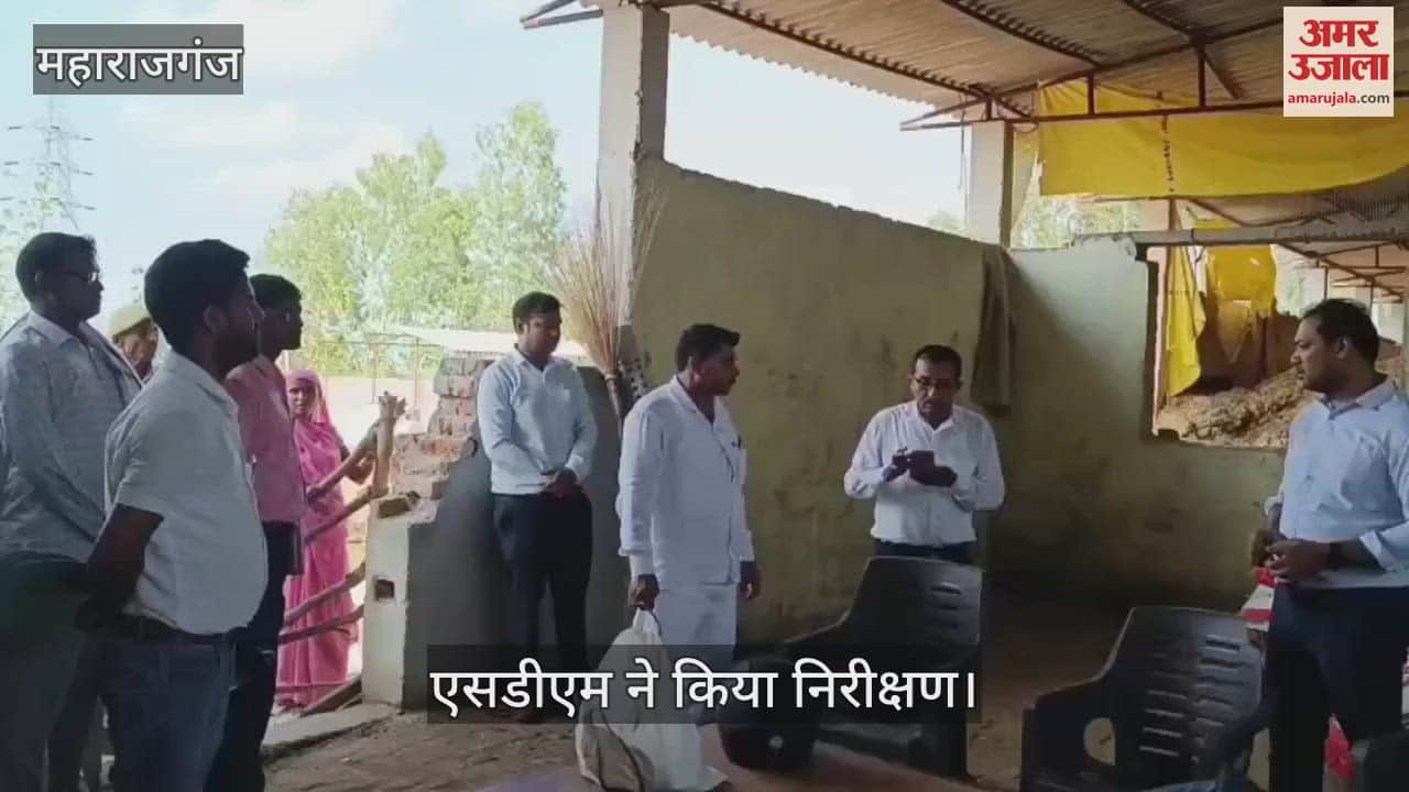 SDM inspected the cowshed, found flaws in the stock register