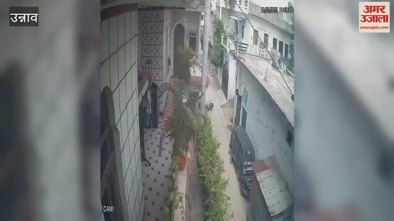 bull lifted and threw the young man several times, chaos due to death