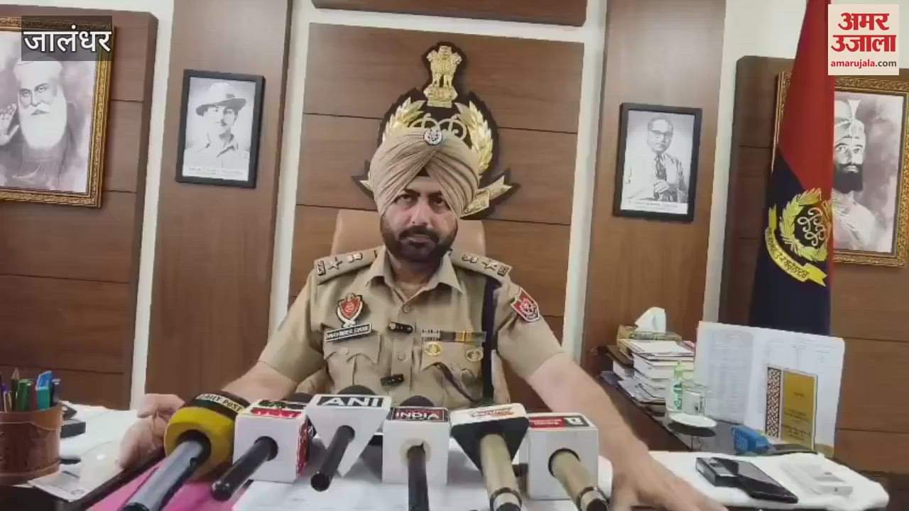 Ambedkar's statue vandalised in Jalandhar's Nangal village