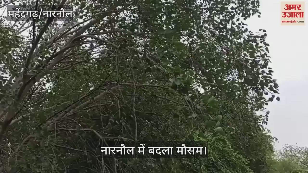 Weather changed in Narnaul