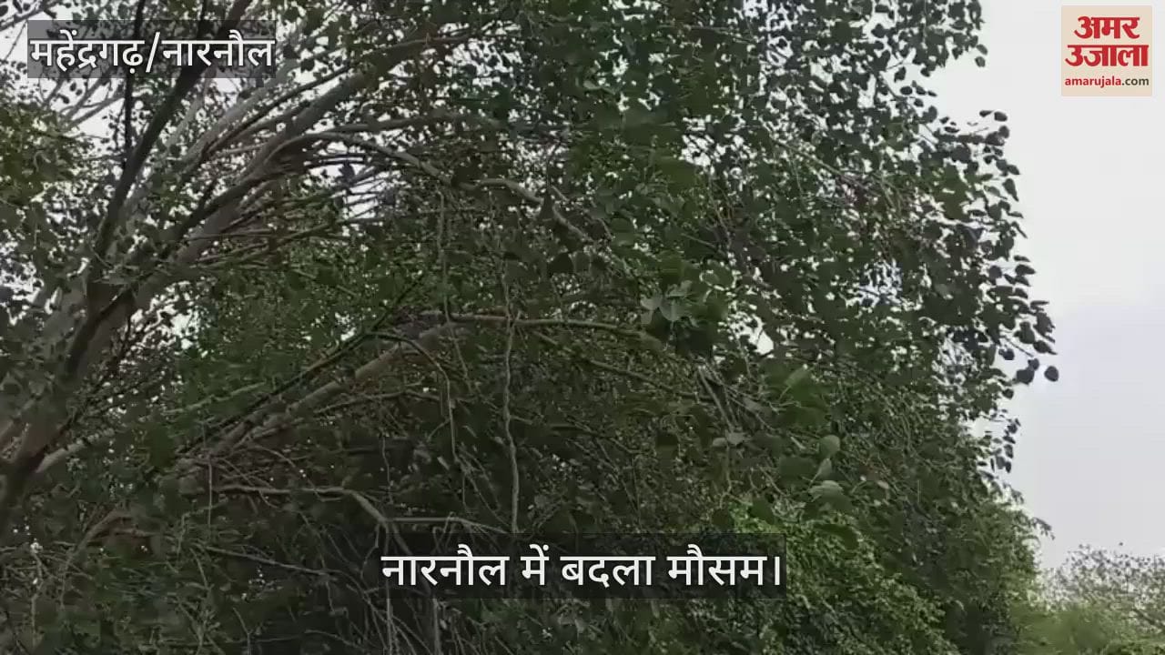Weather changed in Narnaul