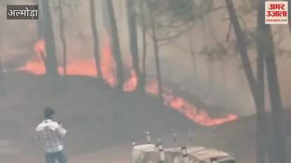 fire in the forest of Nap land in almora