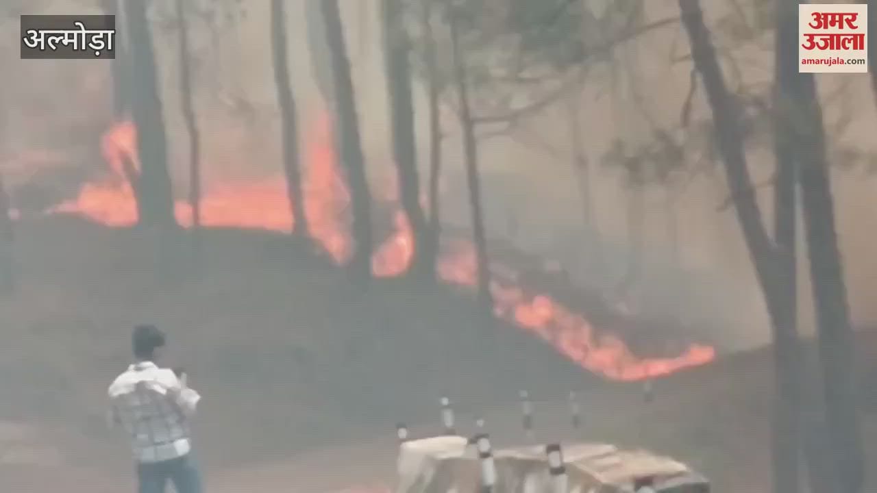 fire in the forest of Nap land in almora