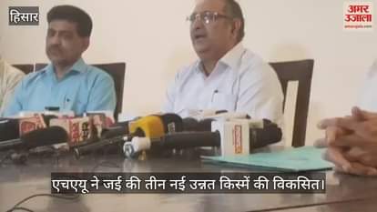 HAU developed three new improved varieties of oats