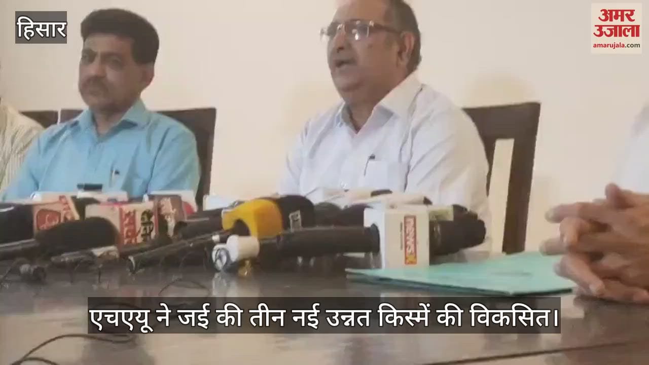 HAU developed three new improved varieties of oats