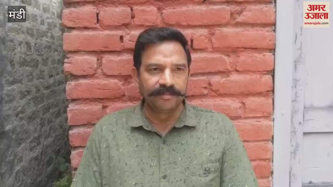 Mandi 1239 cases settled in revenue courts in the district in May