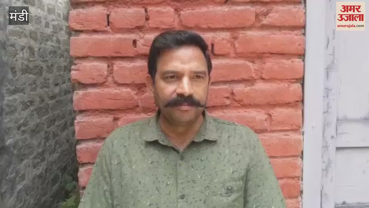Mandi 1239 cases settled in revenue courts in the district in May
