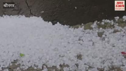 Hailstorm Hits Shopian, Damages Crops in Several Areas